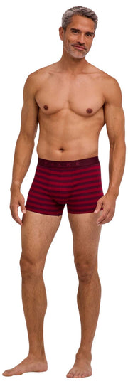 Falke Boxer rayé Daily Comfort - Bordeaux