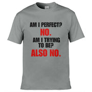 Teemarkable! Am I Perfect T-Shirt Light Grey / Small - 86-92cm | 34-36"(Chest)