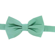 David Van Hagen Plain Satin Silk Bow Tie - Mint Green