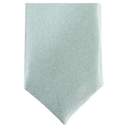 Knightsbridge Neckwear Skinny Polyester Tie - Mint Green