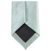 Knightsbridge Neckwear Skinny Polyester Tie - Mint Green